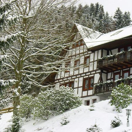 Peaceful Apartment In Schmallenberg With Terrace Εξωτερικό φωτογραφία