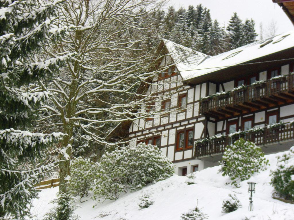 Peaceful Apartment In Schmallenberg With Terrace Εξωτερικό φωτογραφία