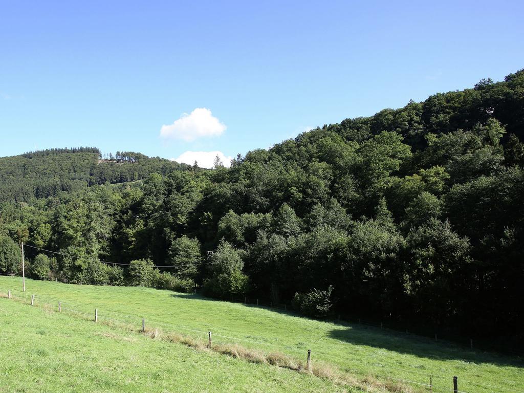 Peaceful Apartment In Schmallenberg With Terrace Εξωτερικό φωτογραφία